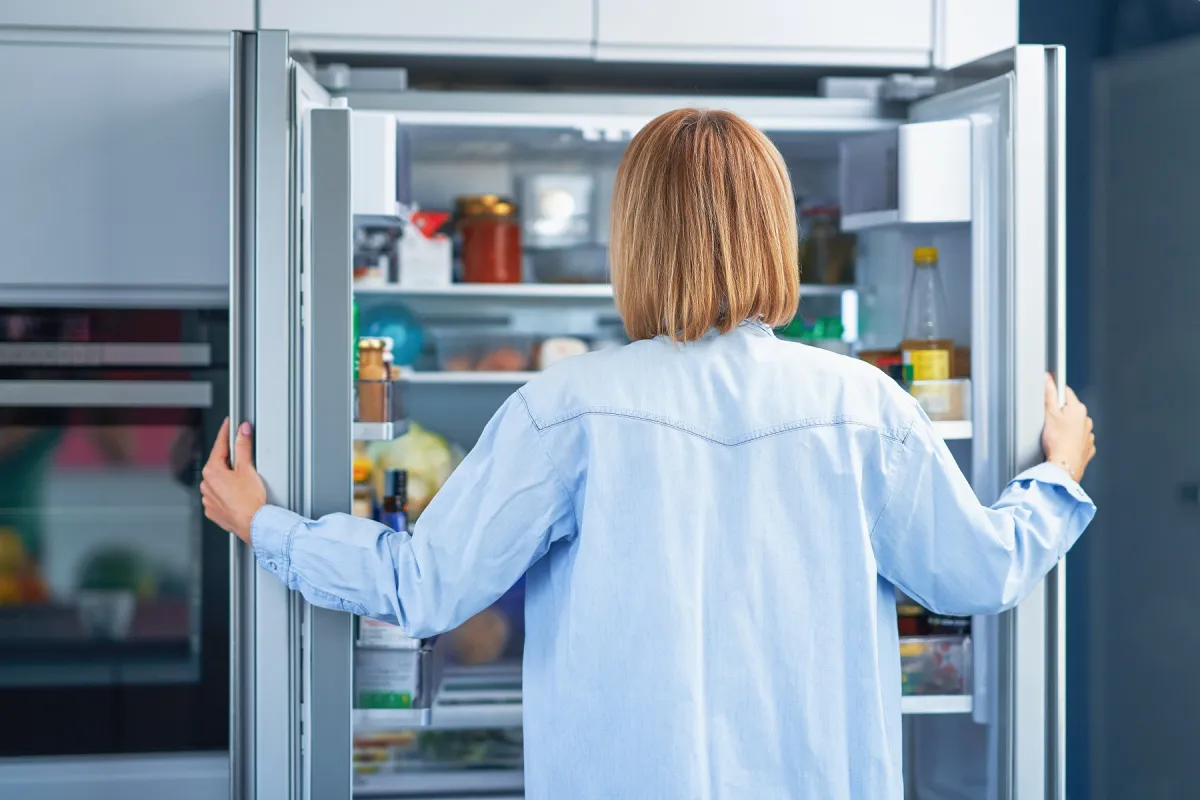 Jak vybrat lednici?